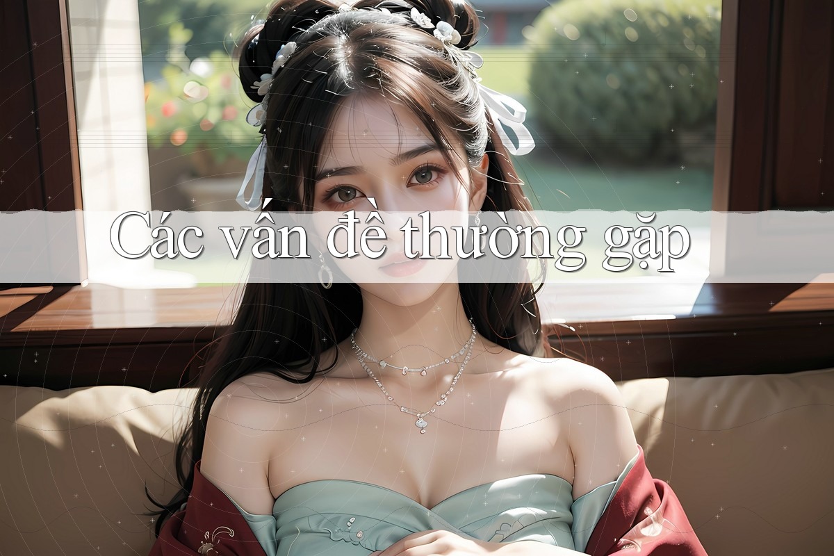 Các Vấn Đề Thường Gặp Các Vấn Đề Thường Gặp