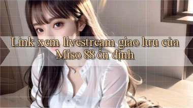 link xem livestream giao lưu của miso 88 ổn định