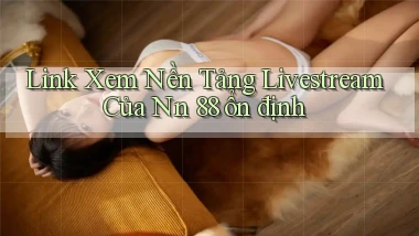 link xem nền tảng livestream của nn 88 ổn định