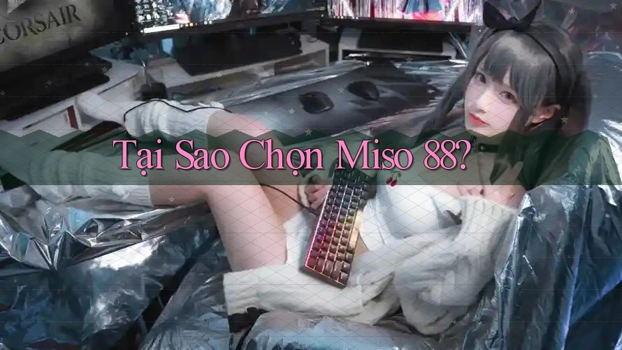 Tại Sao Chọn Miso 88? Tại Sao Chọn Miso 88?