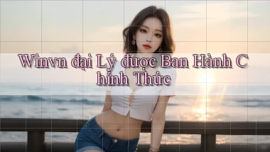 winvn  đại lý được ban hành chính thức
